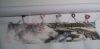 56ae1f459150a_4.thumb.jpg.05b4aca9536267