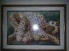 ф20140402_000843.jpg