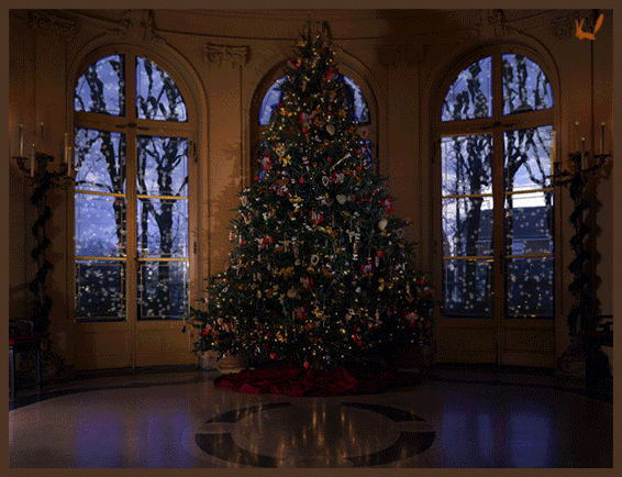 677992.thumb.gif.d63cf570d2598378b0ba1e2