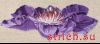 6912.thumb.jpg.24954e44a091d8b2c04ffacc8
