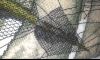 8.thumb.JPG.05968afd6d43fa4259080c5ea399