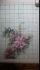 BdFSY8SGBO4.thumb.jpg.dff17bb04deb546c82