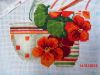 CIMG3468.thumb.JPG.fe6181be2fa20c2b64054