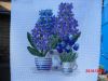 CIMG3631.thumb.JPG.6d8602556f139f2f16d8b