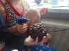 DSC01770.thumb.JPG.52aec64484682f5974d0d