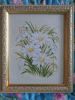 DSC02006.thumb.JPG.e9735fc11715ad2aabdc3