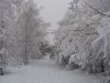 DSC03285.thumb.JPG.0de8678fbdca520a54a84
