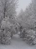 DSC03302.thumb.JPG.67bae35a90711f777eebb