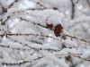 DSC03317.thumb.JPG.031d4372c8857cbb40659