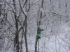 DSC03416.thumb.JPG.f773081be9fbfd91bd1d8