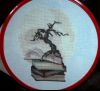 DSC04331.thumb.JPG.3a47c98e3d8cbec2089a1