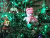 DSC04511.thumb.JPG.9b87a765e22d135529865