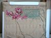 DSC04552.thumb.JPG.71ff0bfdeab35a7934cbf