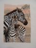 DSC08264.thumb.JPG.ed07d22c6ba959e8c90e2
