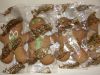 DSC08695.thumb.JPG.9eaf8a3eca6ab22fb3c78