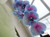 DSCN1643.thumb.JPG.31b132c24e70f0115f0e0