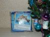 DSCN3103.thumb.JPG.ef871e6a7fba12a646639