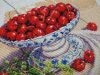 DSCN4733.thumb.jpg.e1341bbdbf602904eb007