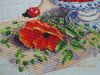 DSCN4735.thumb.jpg.82ae20d89e9b45be5c516