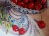 DSCN4736.thumb.jpg.9ba2ece134d102d6d3d93