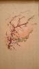 DSC_0324.thumb.JPG.3958f60fe7e885725d063
