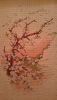 DSC_0326.thumb.JPG.ab8eba007c9eb71a4bb17