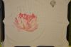 DSC_0879.thumb.JPG.68a6e4b29c745db52b504