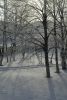 DSC_1073.thumb.JPG.9853bceae0ea76e44c92a