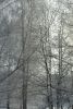 DSC_1081.thumb.JPG.1b20ddca4e8eeacdbc8e5