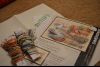 DSC_1096.thumb.JPG.63686be09dff24095adfc