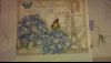 IMAG0815.thumb.jpg.6e7f3e232c49cb8a2d3dc