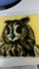 IMAG1896.thumb.jpg.e90bb8b68b238ae0ac101