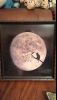 IMG-20151208-WA0000.thumb.jpg.28b26dae33
