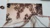 IMG-20160109-WA0000.thumb.jpg.a1daed23c0