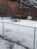 IMG_0935.thumb.JPG.584decbd2e872078c1c38