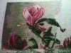 IMG_0957.thumb.JPG.b13b42c081dcb7f1d2f33