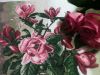 IMG_0996.thumb.JPG.09296b777afd4a2efca70