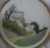 IMG_1913.thumb.JPG.2ab9085099bcc8029780d