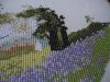 IMG_1916.thumb.JPG.ca1d6740c729ccac8ab60