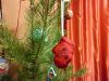 IMG_20160105_023510.thumb.jpg.84376945ce