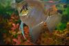 IMG_20160114_083742_36.thumb.jpg.efe41c4