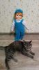 IMG_20160125_223302.thumb.jpg.d073045ca5
