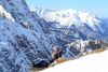IMG_20160130_162244_0.thumb.jpg.bf359473