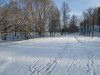 IMG_2175.thumb.JPG.cd55afdfa4bba7bed438b
