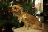 IMG_2872.thumb.JPG.8ecdbb047c7eddb2365e7