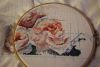 IMG_2982.thumb.JPG.26cbc6d59a98c1ad1daa9