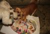 IMG_2991.thumb.JPG.433f095cdb5cbf9f2db52
