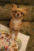 IMG_2997.thumb.JPG.25dd38728f663f9ed21da