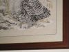 IMG_3503.thumb.JPG.de8718766cf71d56fbfdc