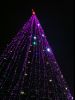 IMG_7129.thumb.JPG.d8e266305b53b7a3369eb